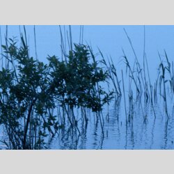 Tischuhr 30cmx30cm inkl. Alu-St&auml;nder- Landschaftsbild See Idylle Wasser ger&auml;uschloses Quarzuhrwerk -Wanduhr-Standuhr TU6024 DIXTIME